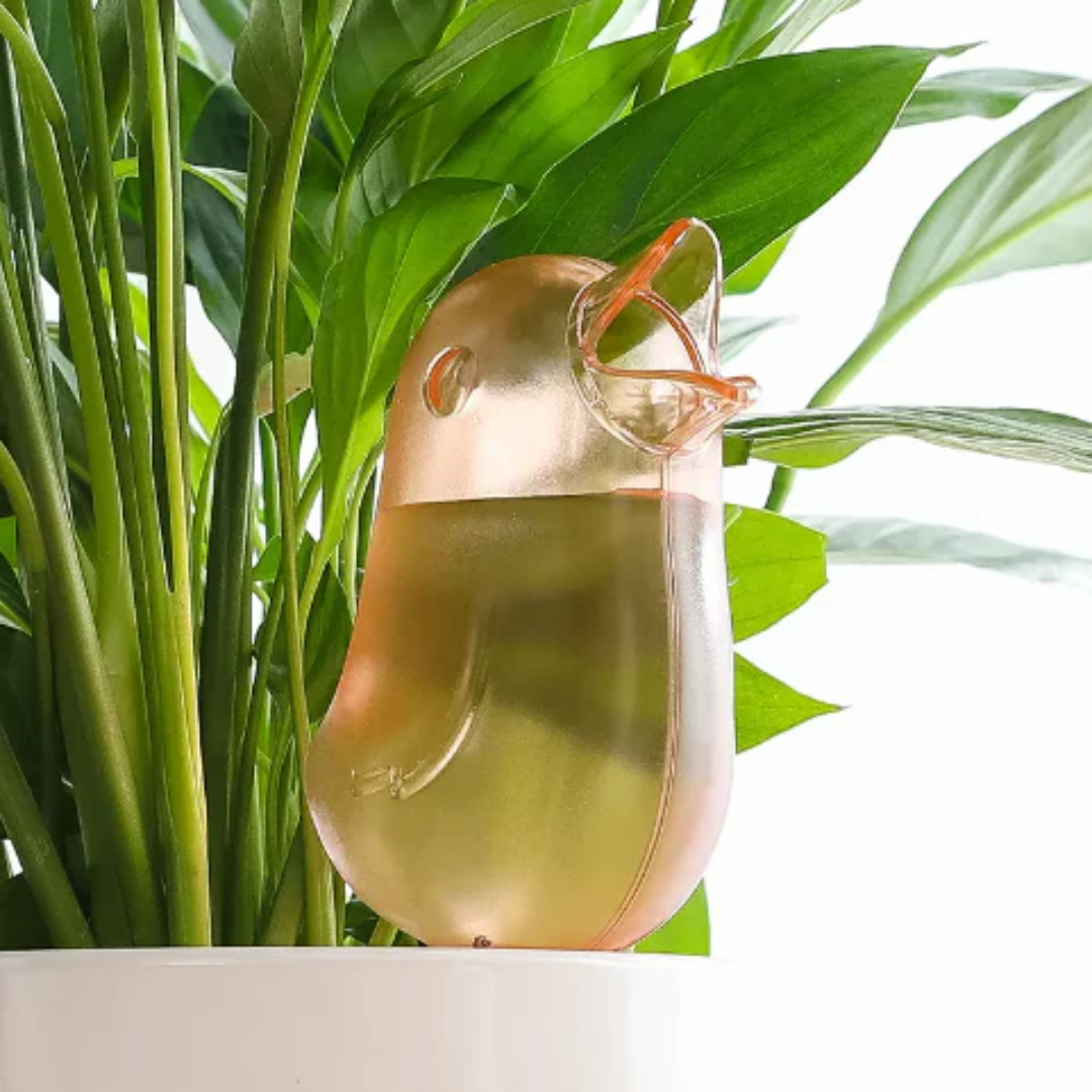 Regador automático BirdGarden