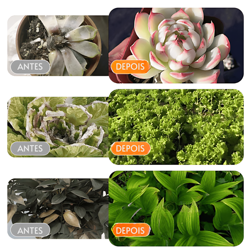 GOTAS REABILITADORAS PARA PLANTAS PLANTSREHAB™