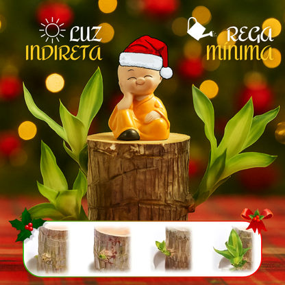 ChristmasTree: Planta de madeira natal da sorte