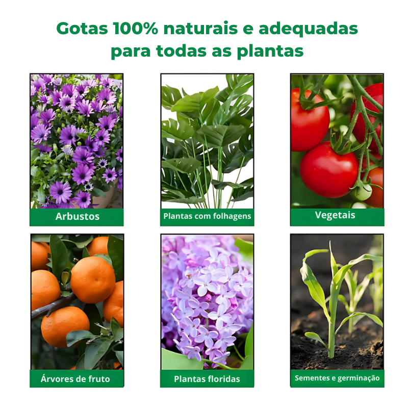 GOTAS REABILITADORAS PARA PLANTAS PLANTSREHAB™