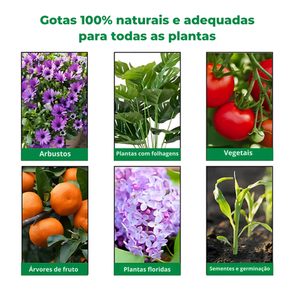 GOTAS REABILITADORAS PARA PLANTAS PLANTSREHAB™